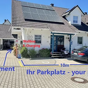 Palmie , Roth (Bavaria) Duitsland